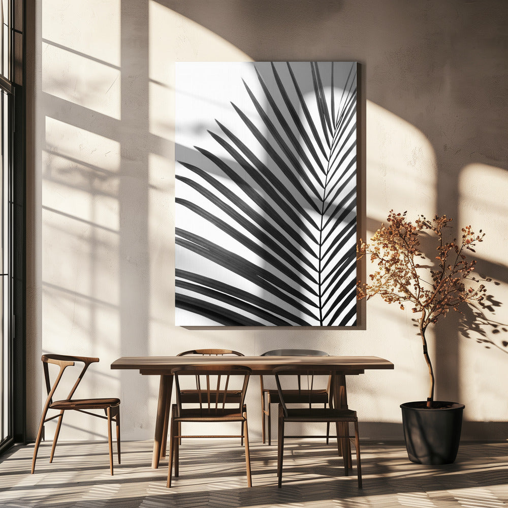 BW Palm Leaf | Canvas