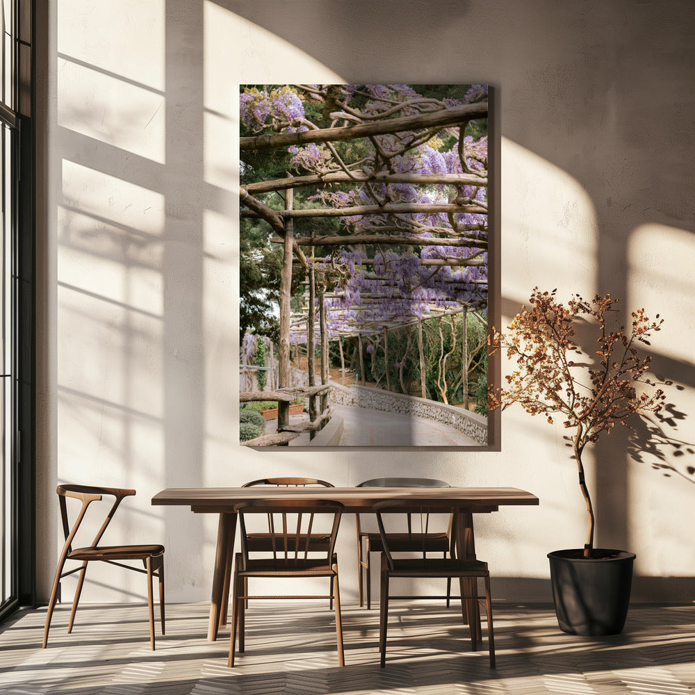 The Lavender Walkway | Canvas