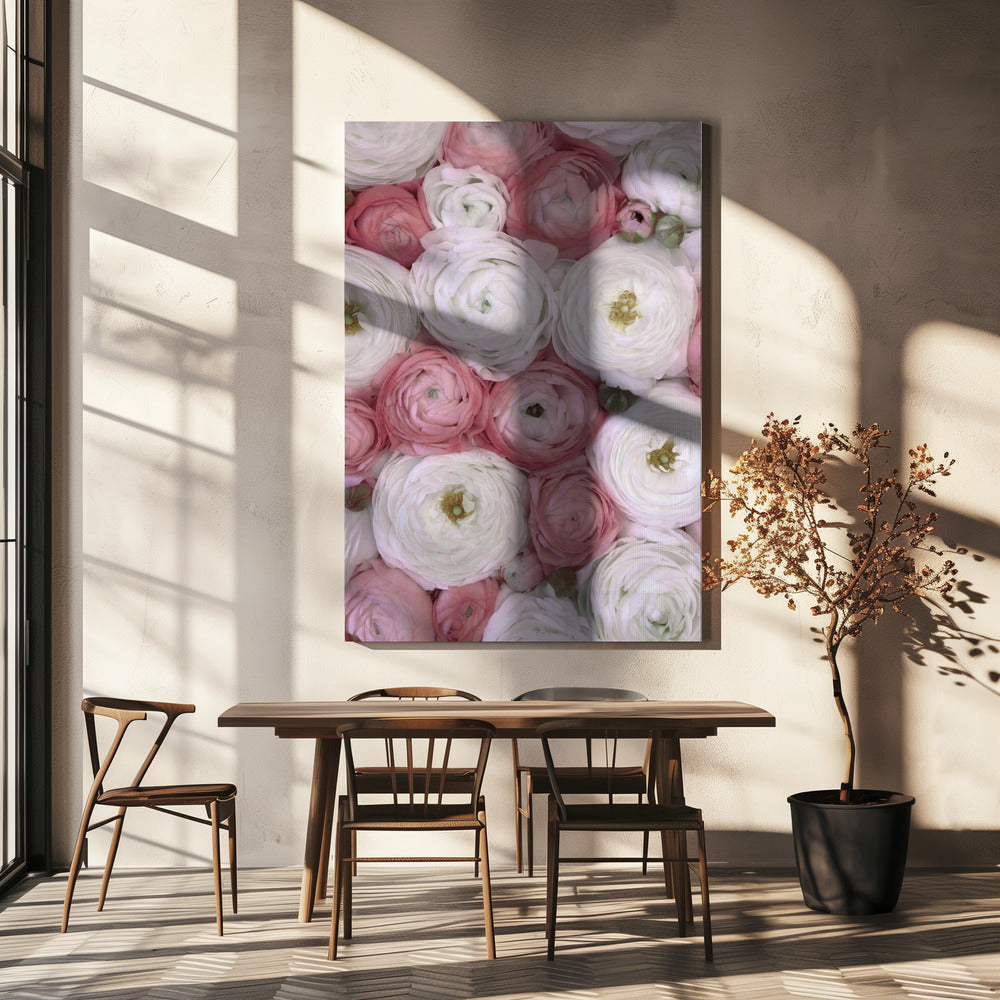 Scattered ranunculus in muted pink II | Canvas