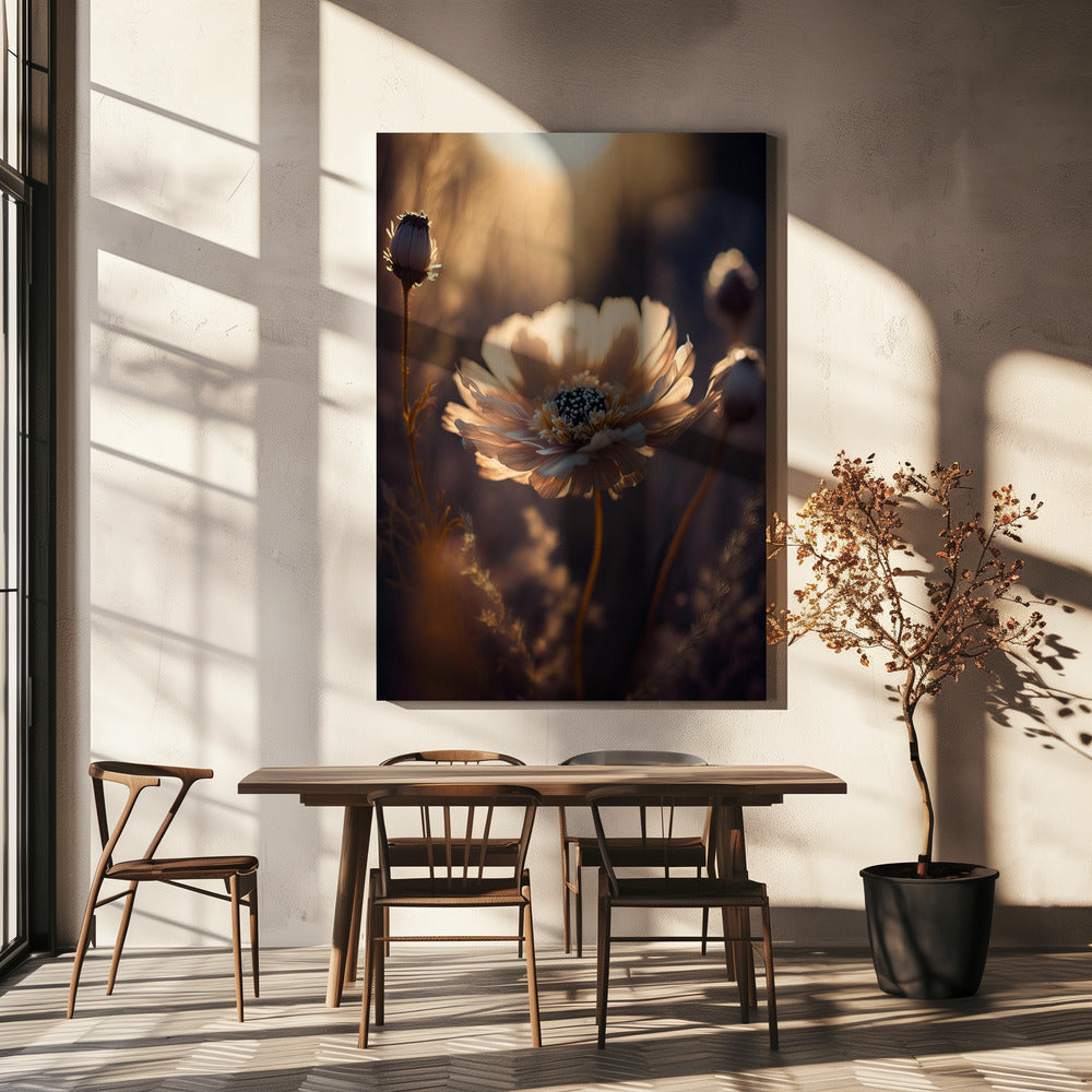 Sunlit Blossom | Canvas