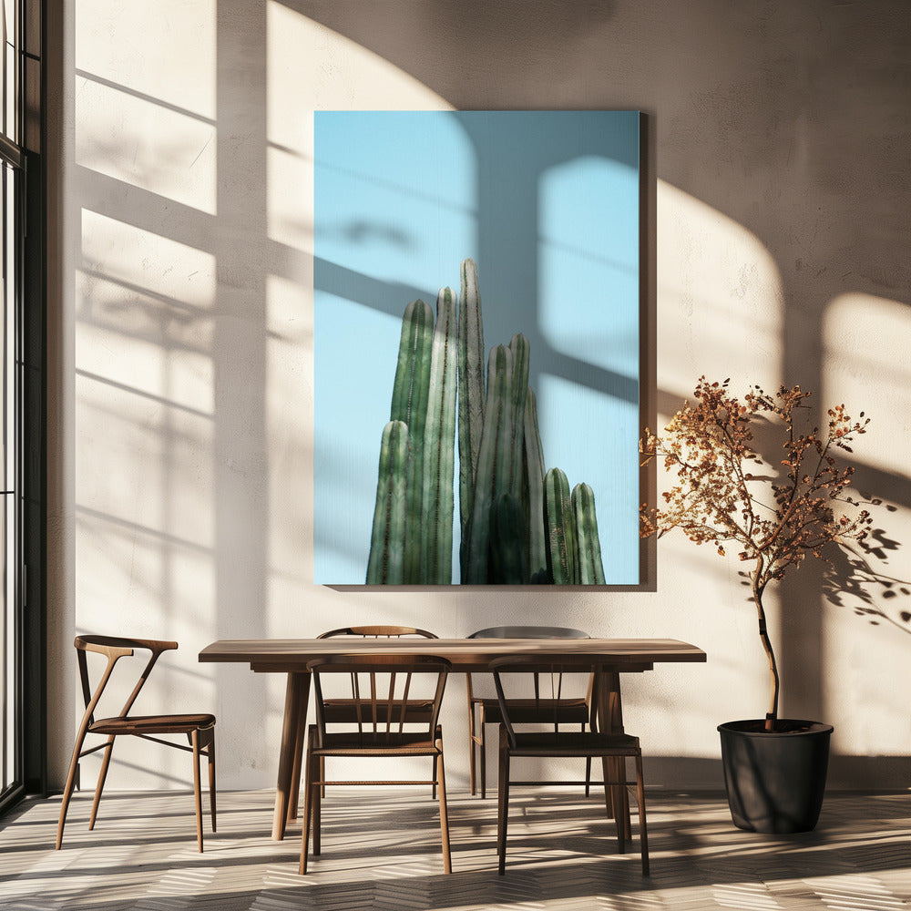 Cacti | Canvas