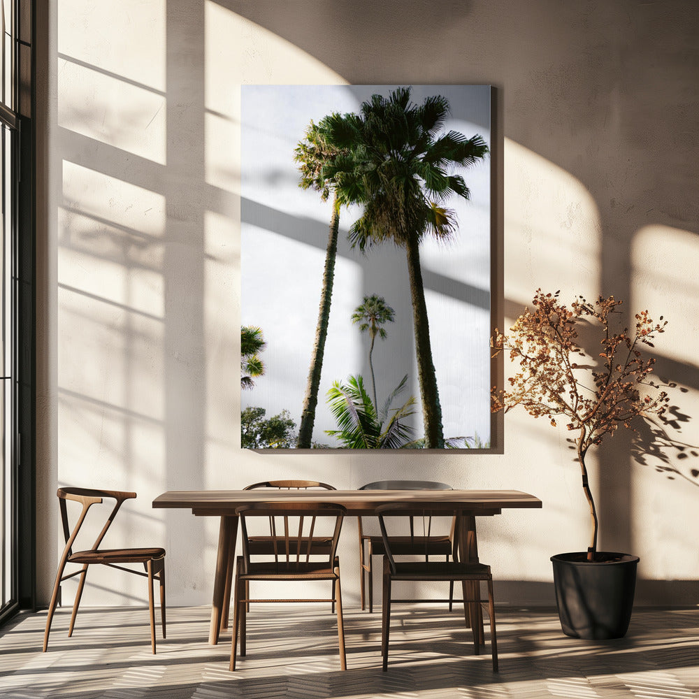 Find me under the Palm Tree | Canvas