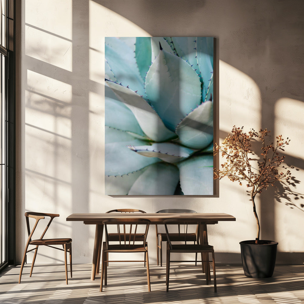 Succulent Green | Canvas