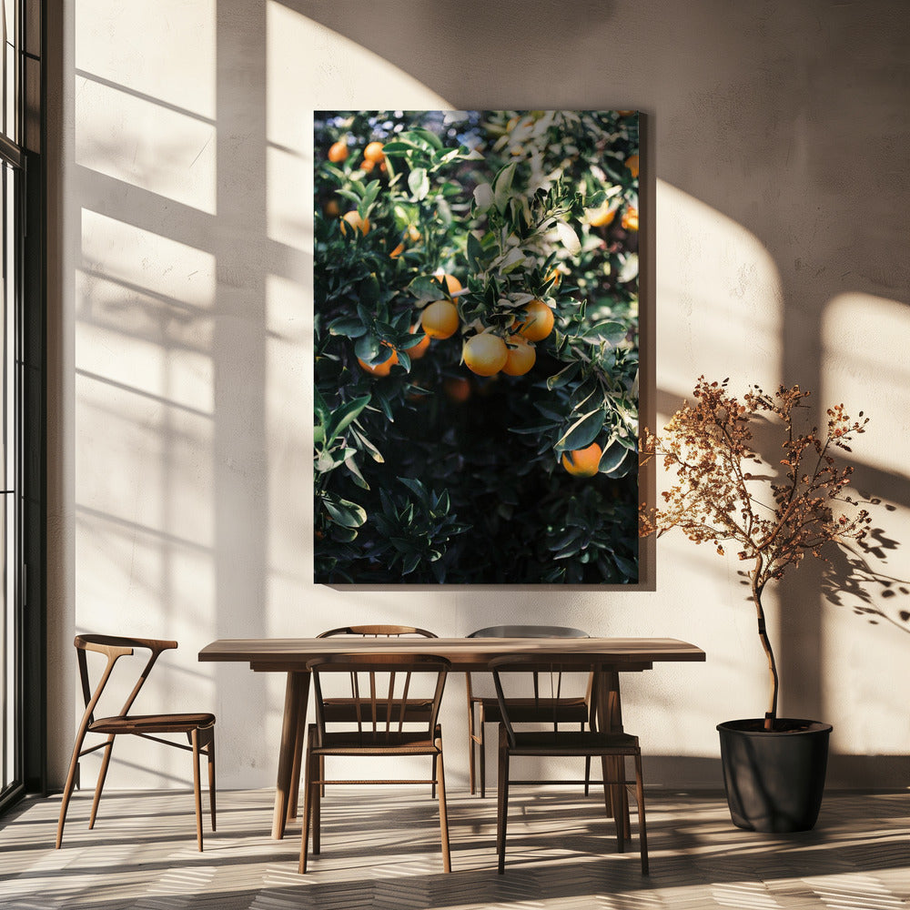 Marrakesh Oranges | Canvas