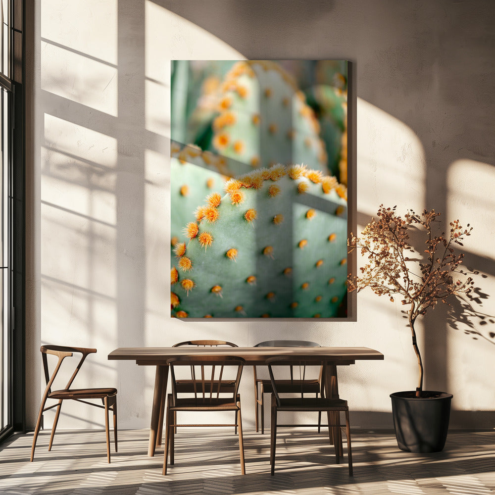 Orange and Green II - Marrakech botanical photography | Canvas