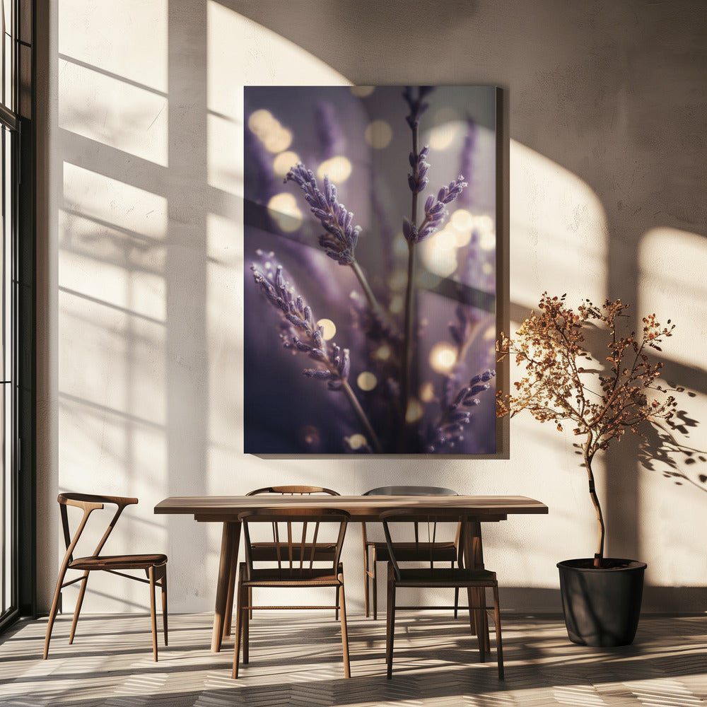 Lavender Dreams | Canvas