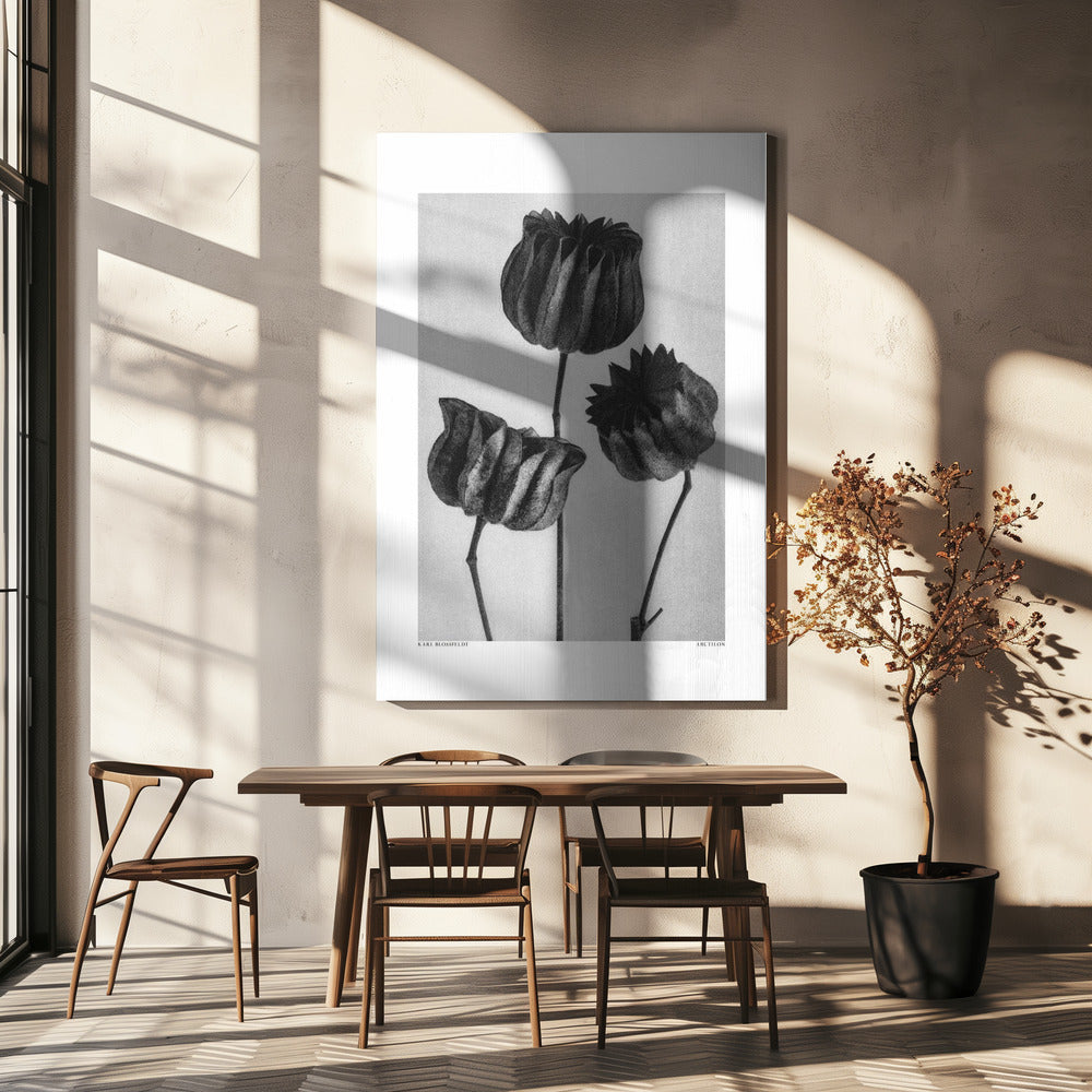 Abutilon (Lime Mallow | Canvas