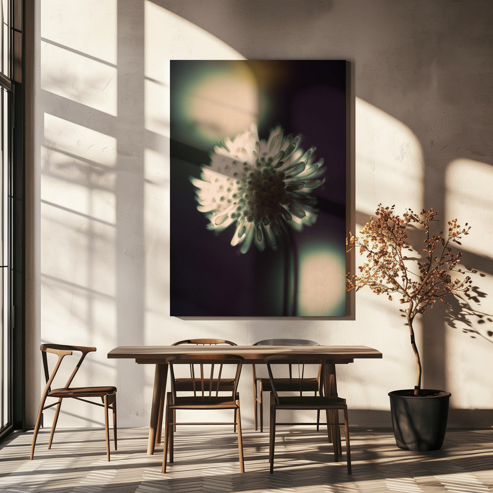 Ethereal Blossom | Canvas