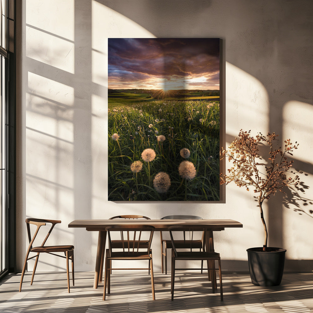 Poppy World | Canvas