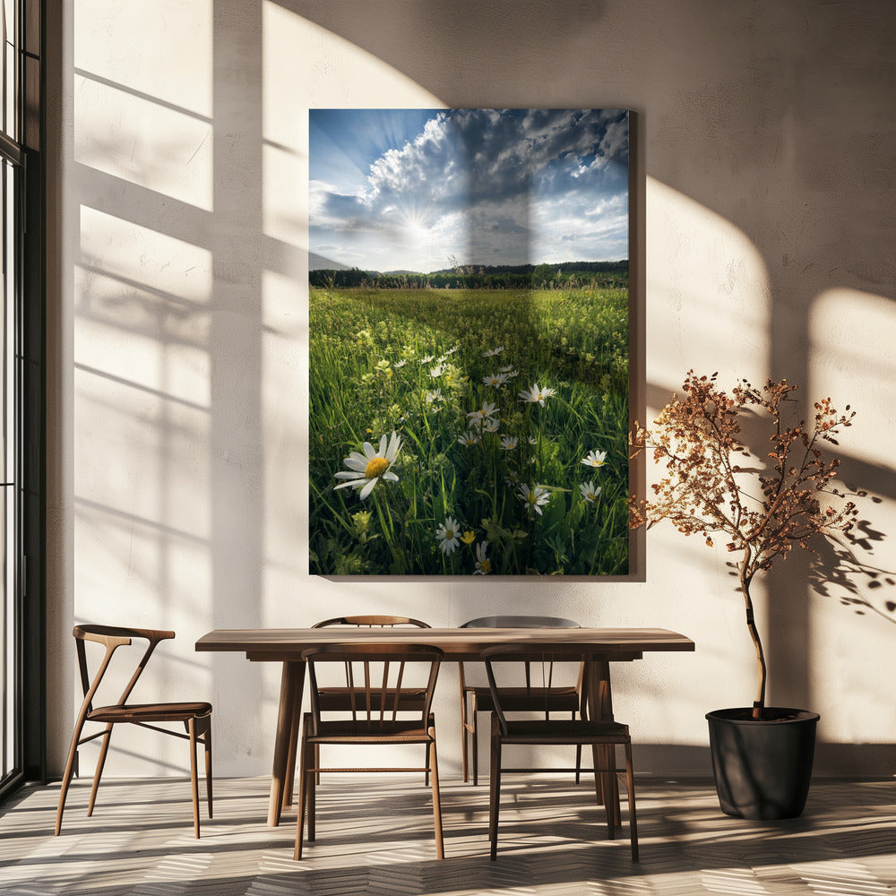 Flowering Meadow | Canvas