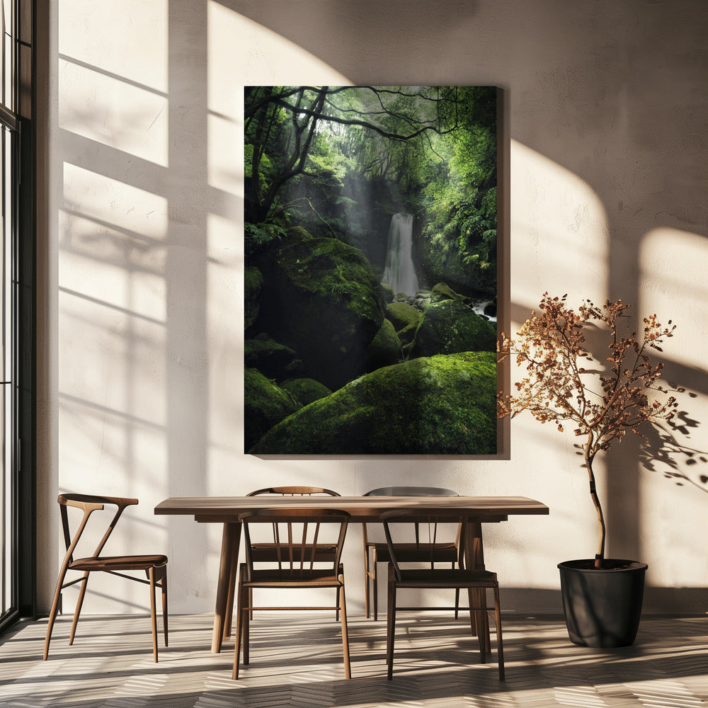 Mystic Falls | Canvas