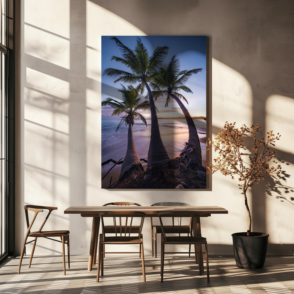 Palmy Twilight | Canvas
