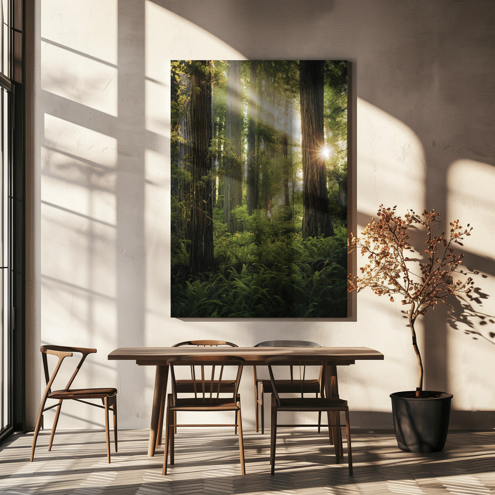Fairy Forest | Canvas