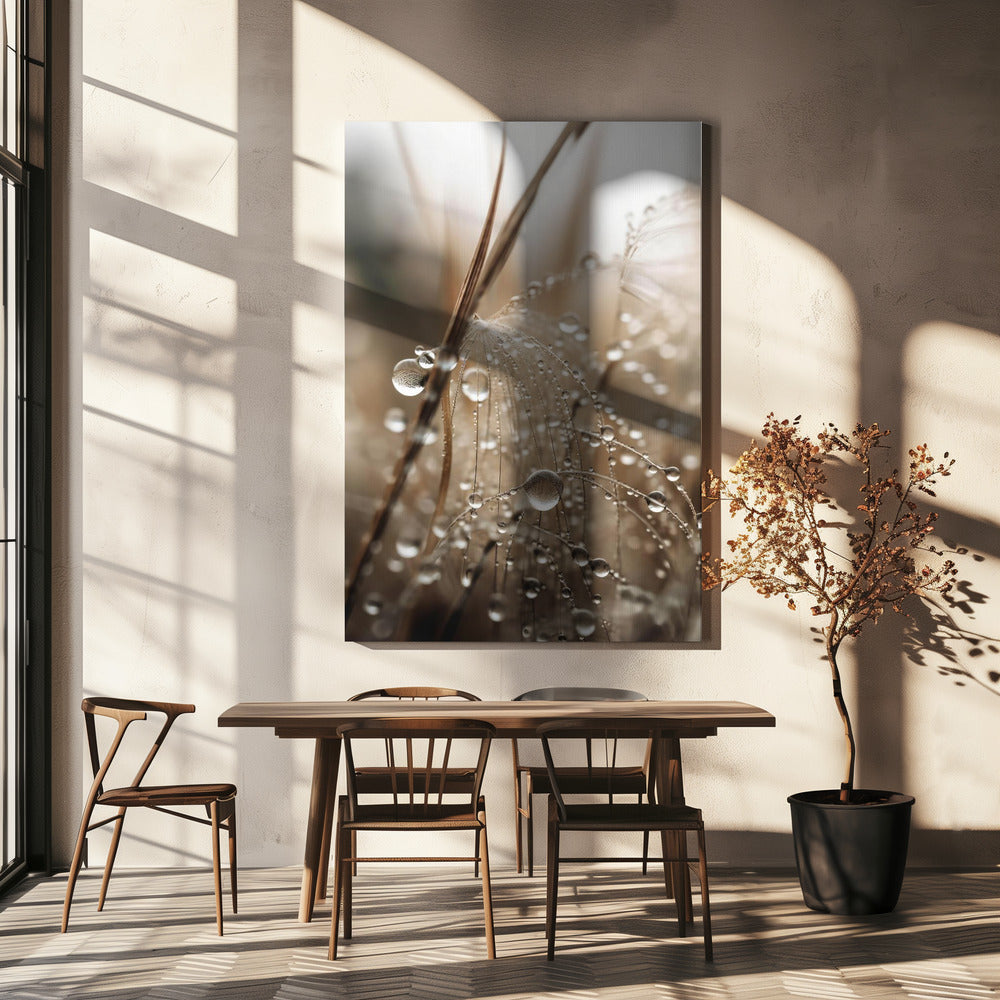 Dewy Filigree | Canvas