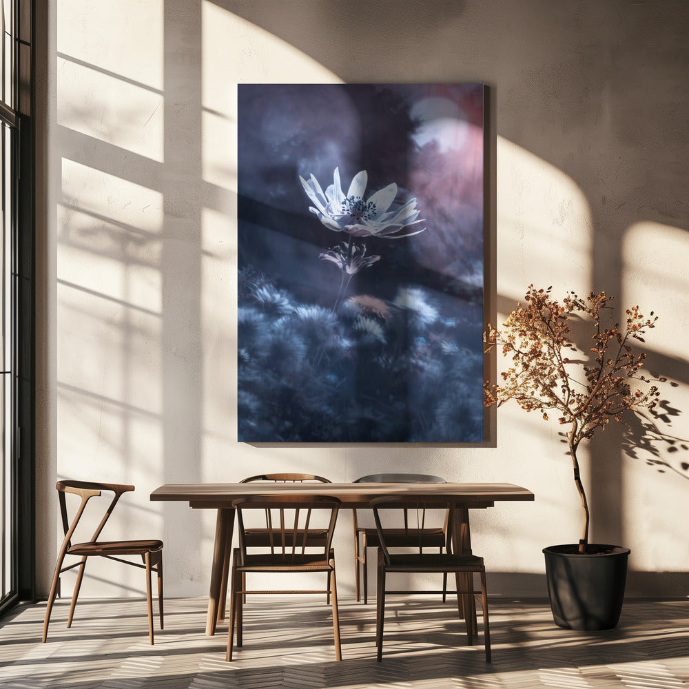 The divine sound of creation | Canvas
