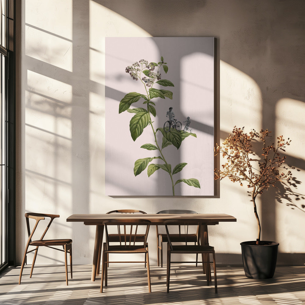 Botanical cycling | Canvas