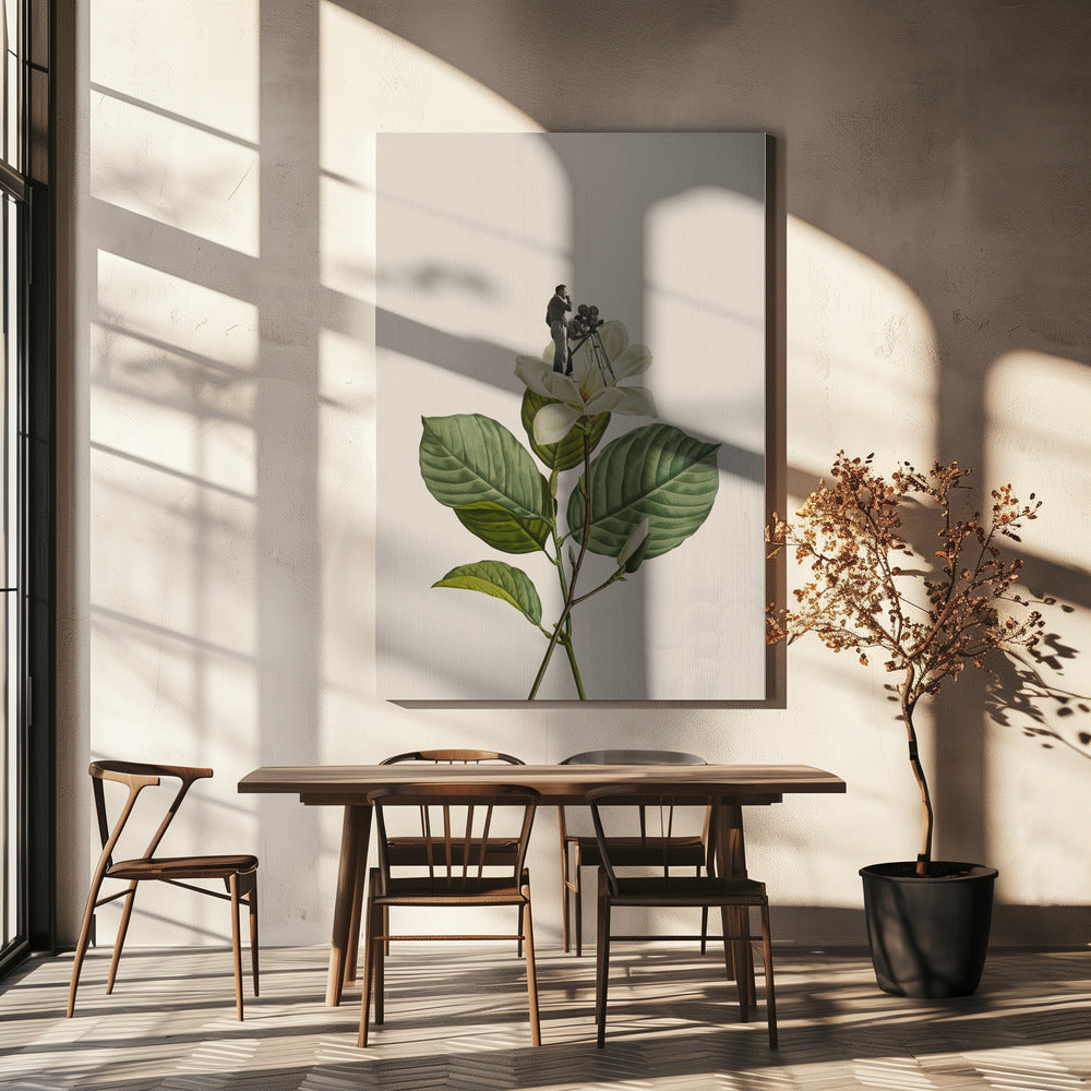 Botanical vintage cameraman | Canvas