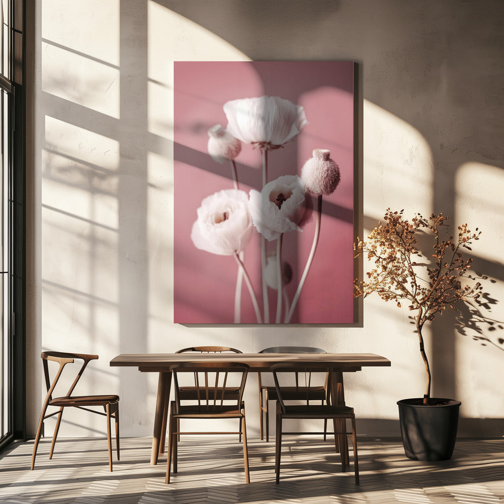 Soft Blooming Poppies | Canvas