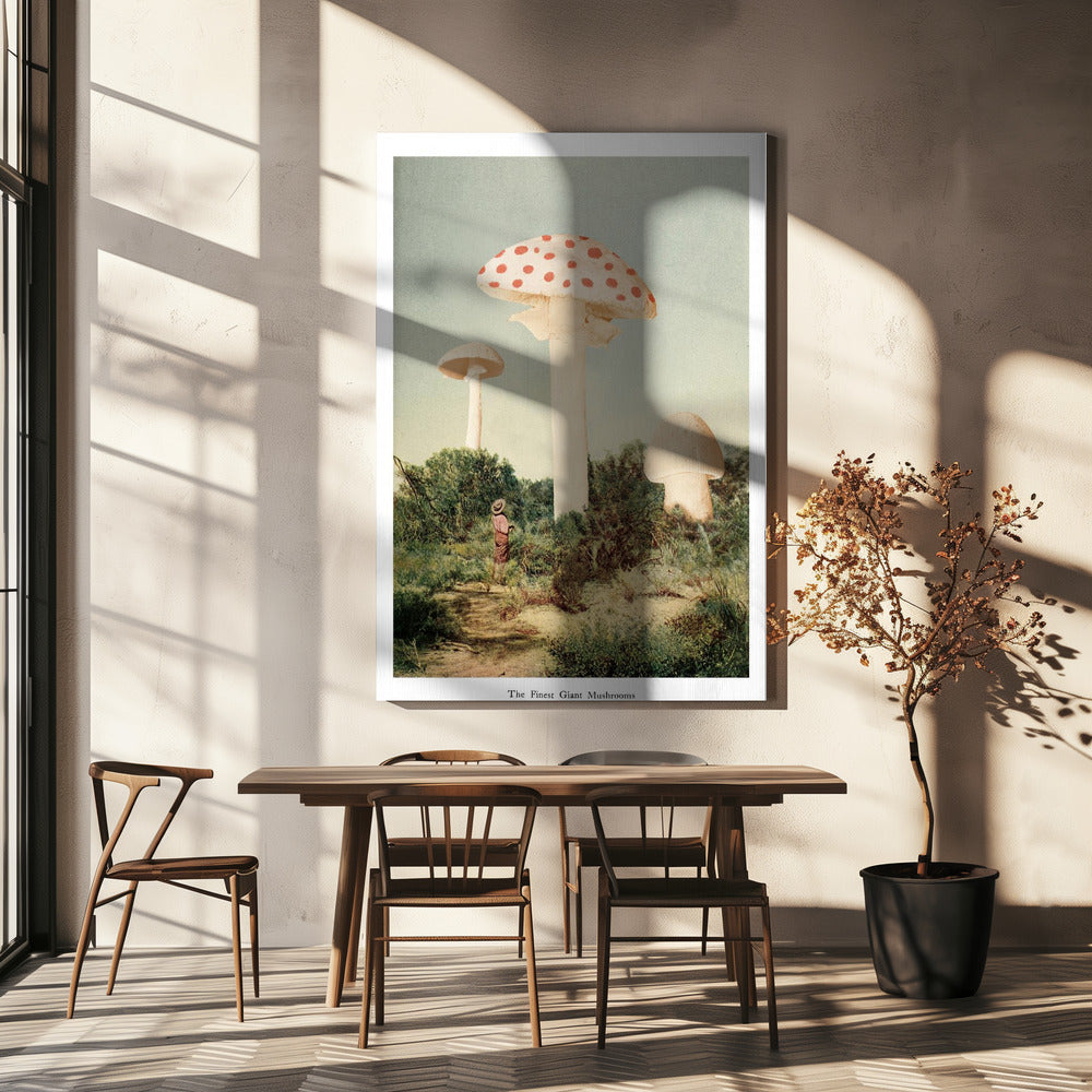 The Finest Giant Mushroom | Canvas