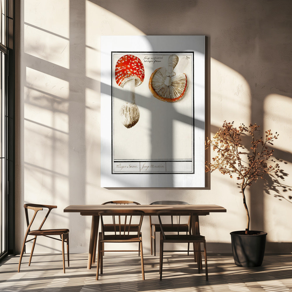 Fly Agaric, Amanita Muscaria | Canvas