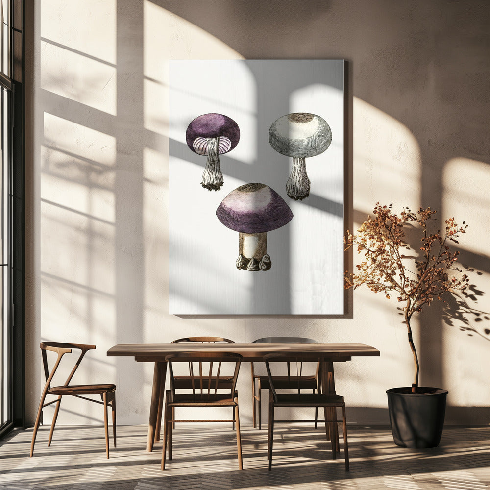 Hand Darwn Violet Webcap Mushroom | Canvas