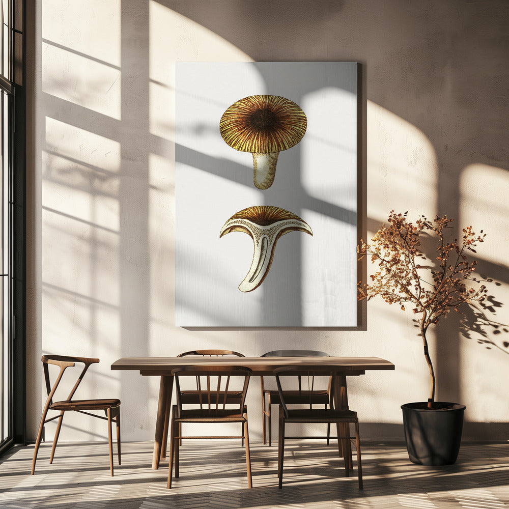 Vintage Chanterelles Edible Mushroom | Canvas