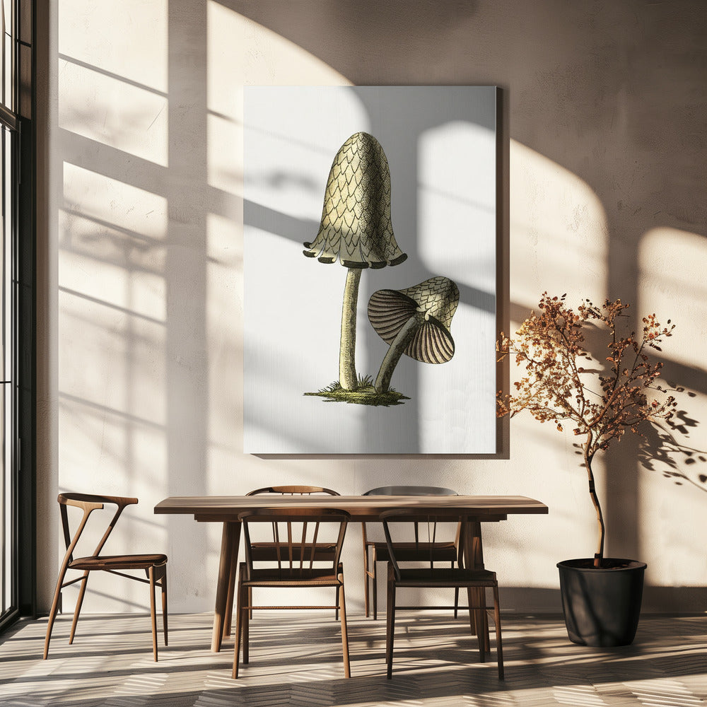 Vintage Inky Cap Edible Mushroom | Canvas