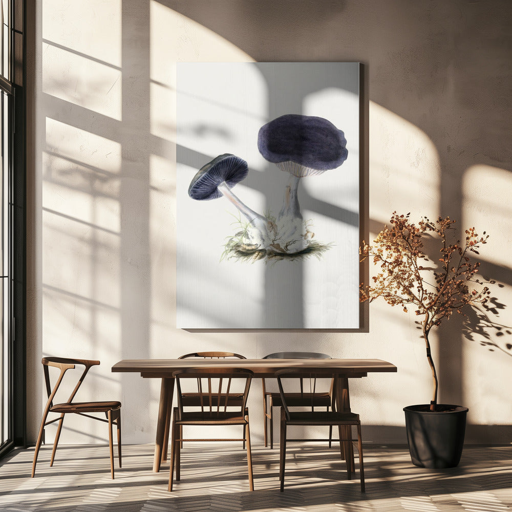 Vintage Violet Webcap Mushroom | Canvas