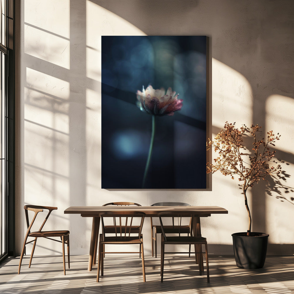 Dew-Kissed Blossom | Canvas