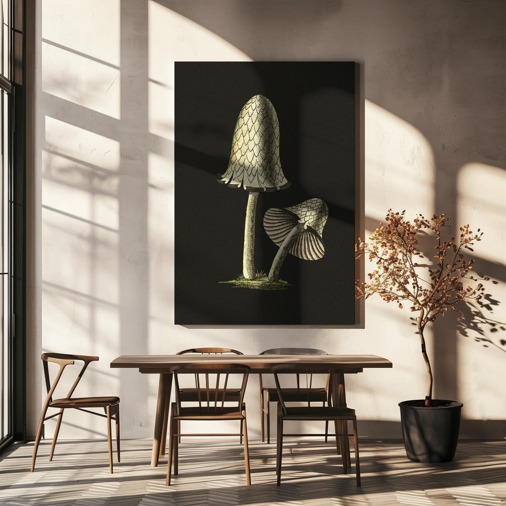 Vintage Inky Cap Edible Mushroom Black Background | Canvas