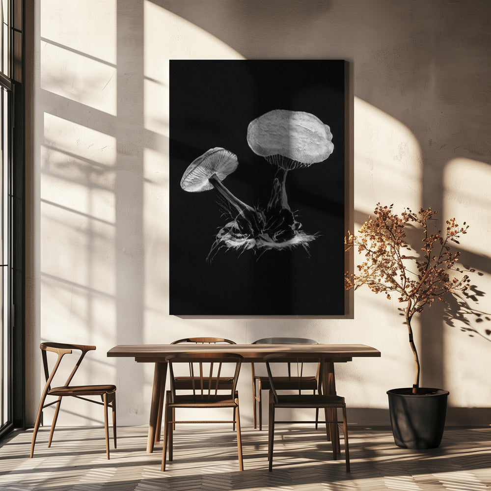 Vintage Violet Webcap Mushroom Dark BW | Canvas