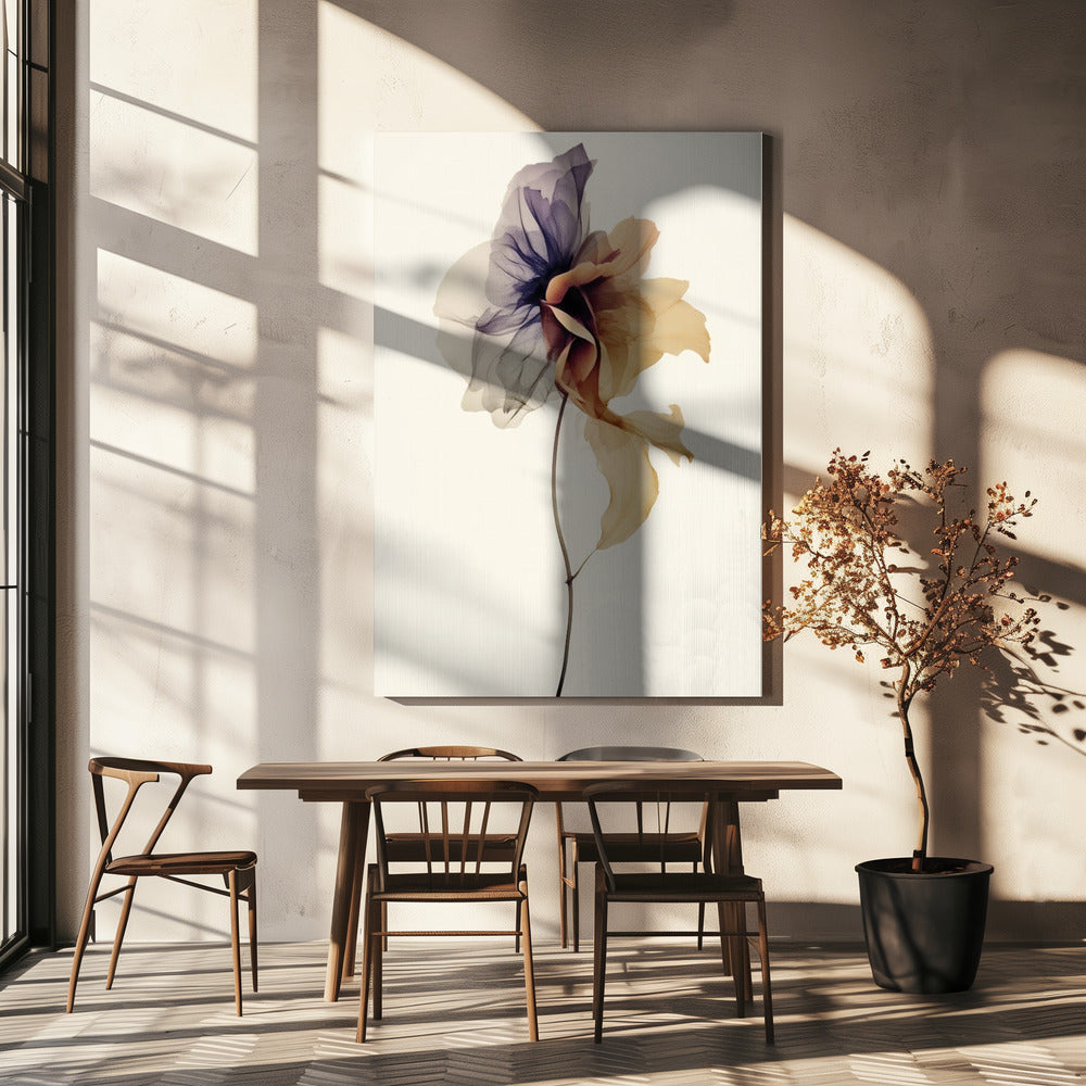 Chiffon Flower | Canvas