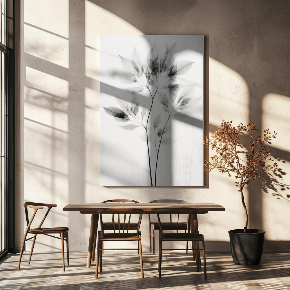 Transparent Leaves | Canvas