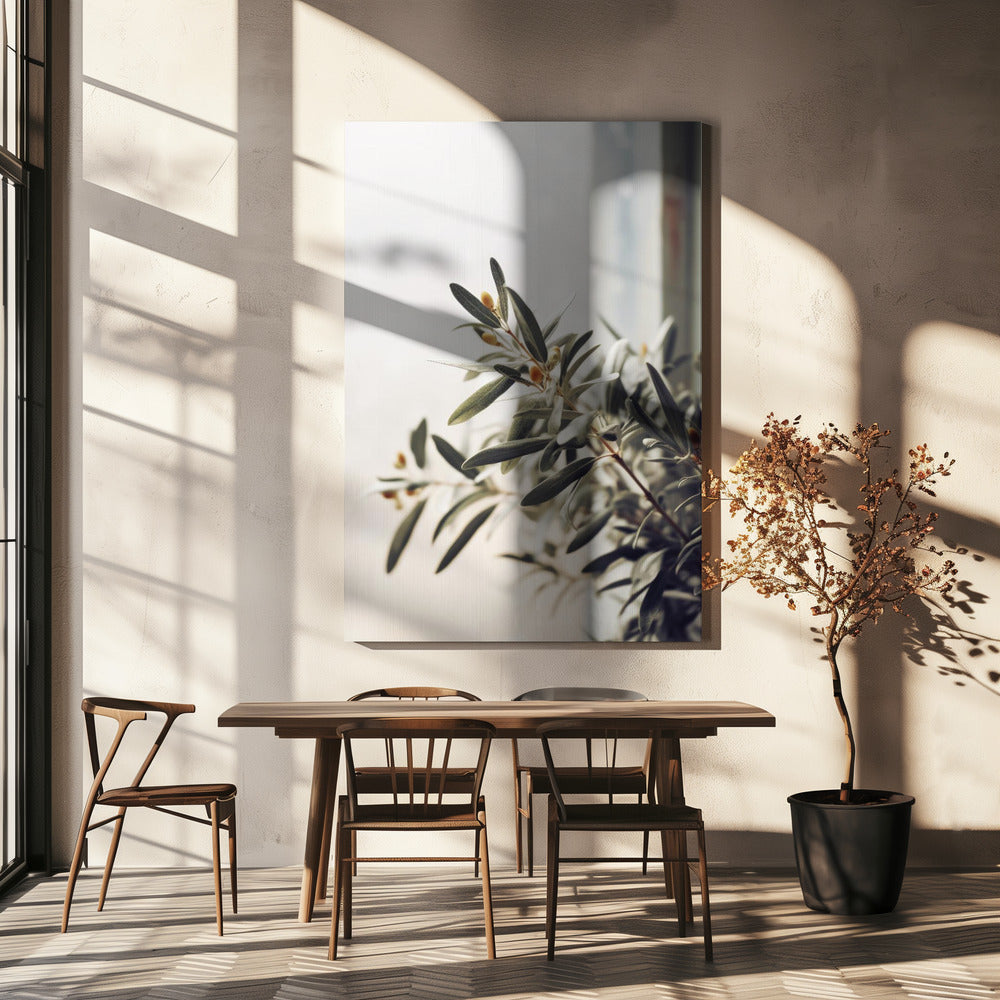 Olive Branch Light | Canvas