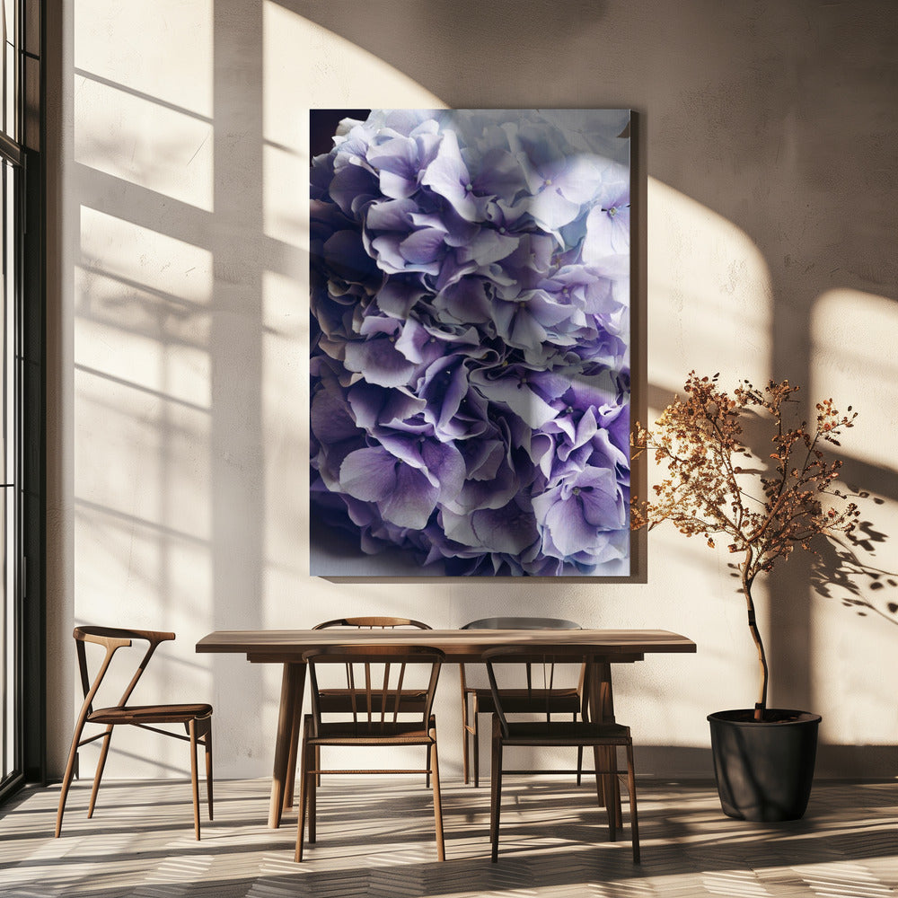 Vibrant Purple Hydrangea Flowers | Canvas