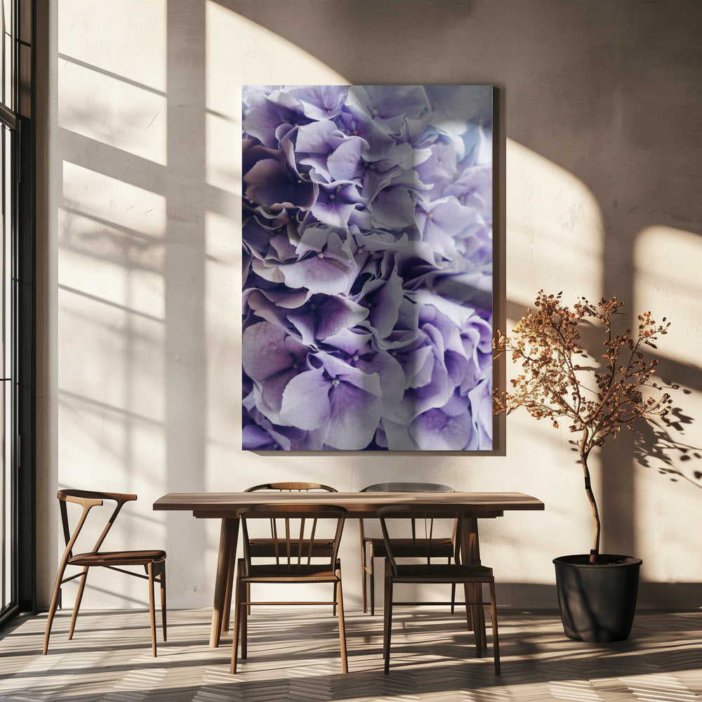 Vibrant Purple Hydrangea Flowers | Canvas
