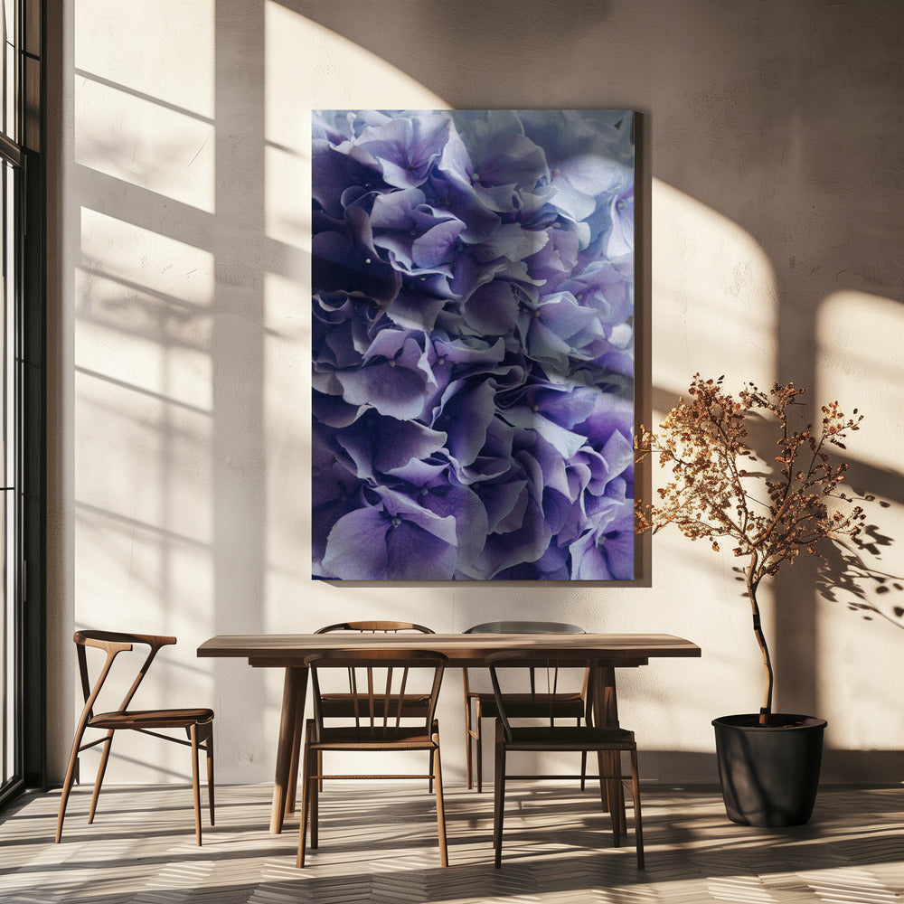 Vibrant Purple Hydrangea Flowers | Canvas