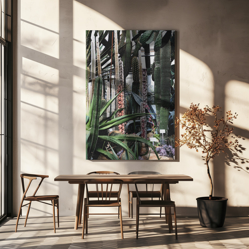 Cactus Sanctuary | Canvas
