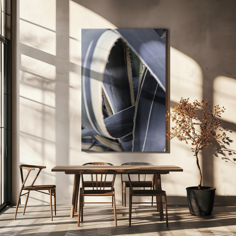 Spiral of Nature | Canvas