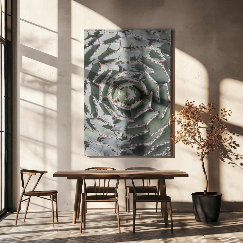 Spiral Succulent Maze | Canvas