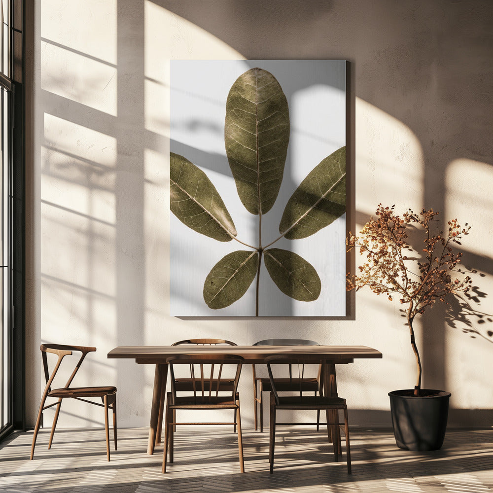 Five Leaf Harmony | Canvas
