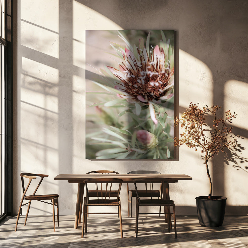 Soft Bloom Elegance | Canvas