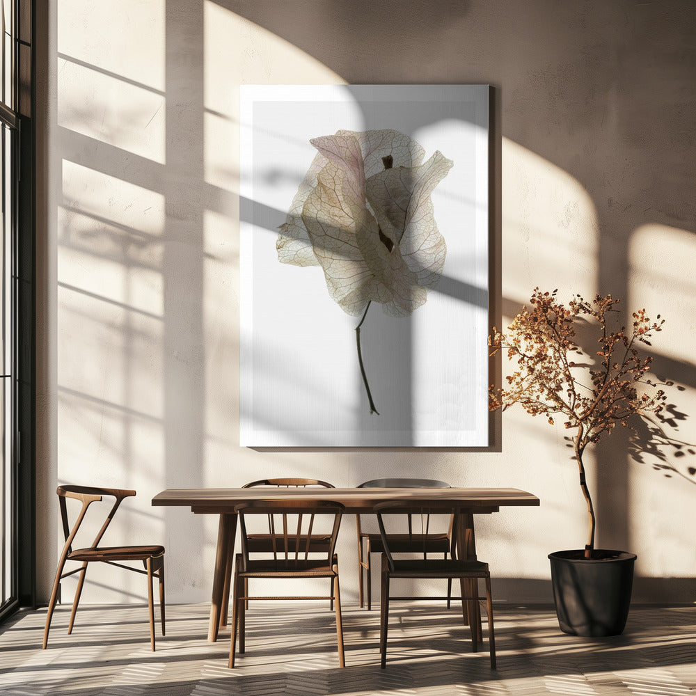 Petal Whisper | Canvas