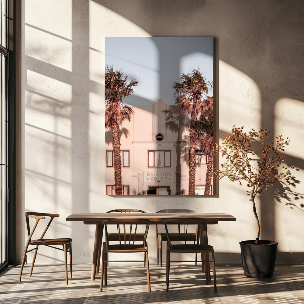 Palm Shadows | Canvas