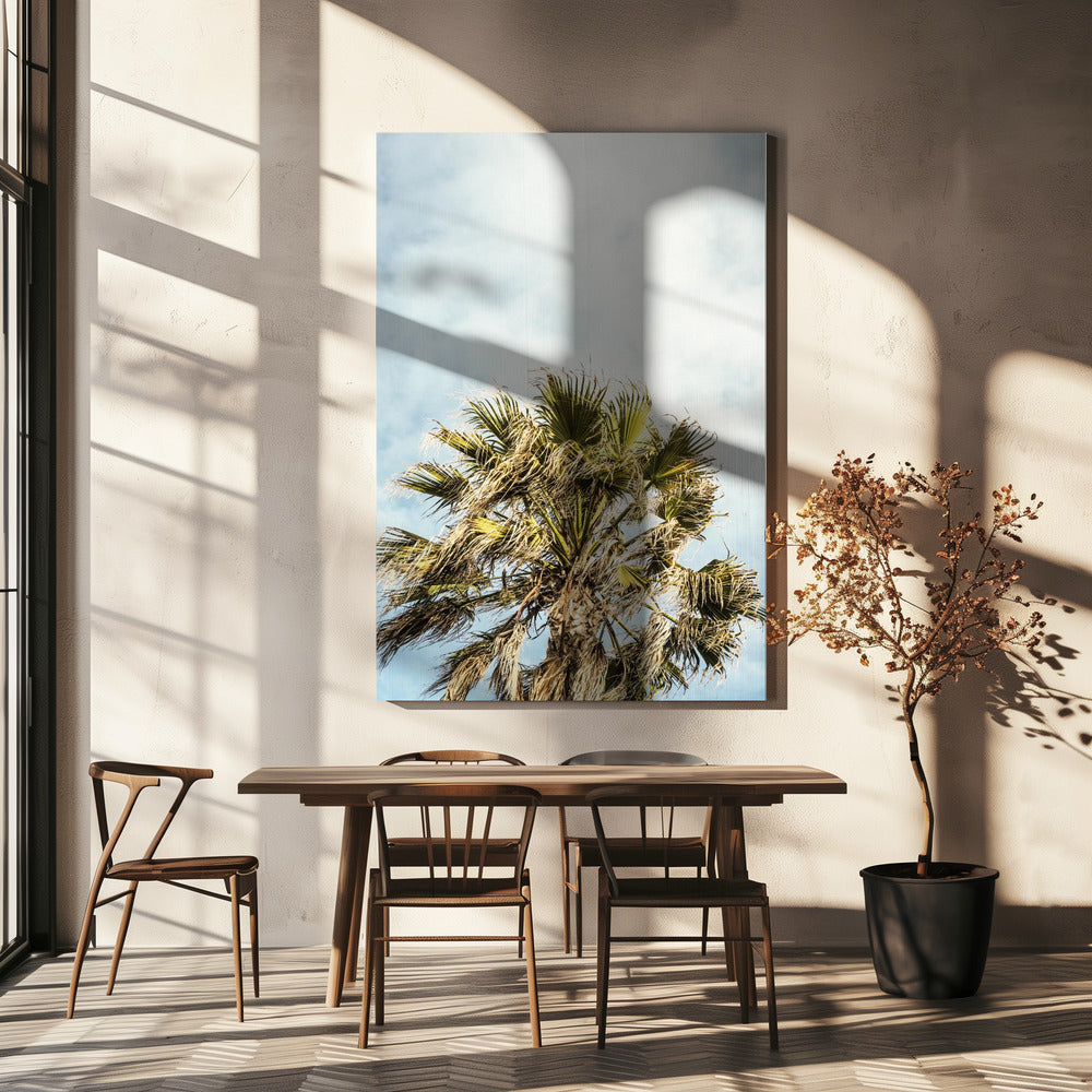 Sunlit Fronds | Canvas