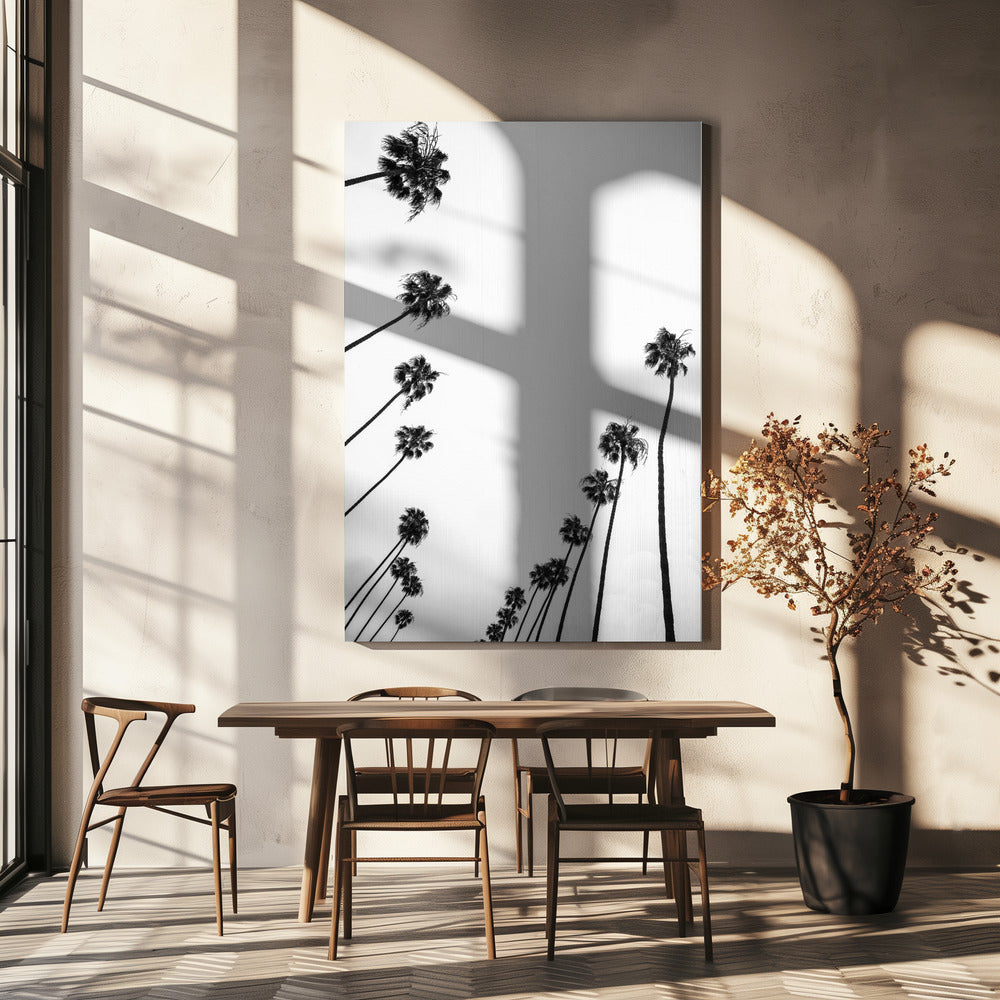 Whispers in the Sky | Canvas