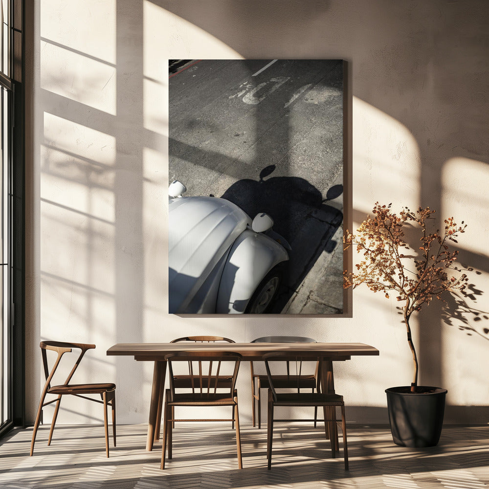 Classic Curve Shadows | Canvas