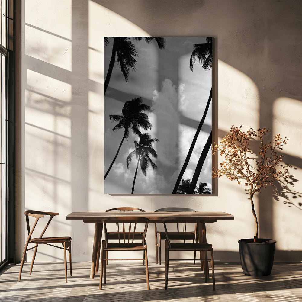 Silhouetted Palms | Canvas