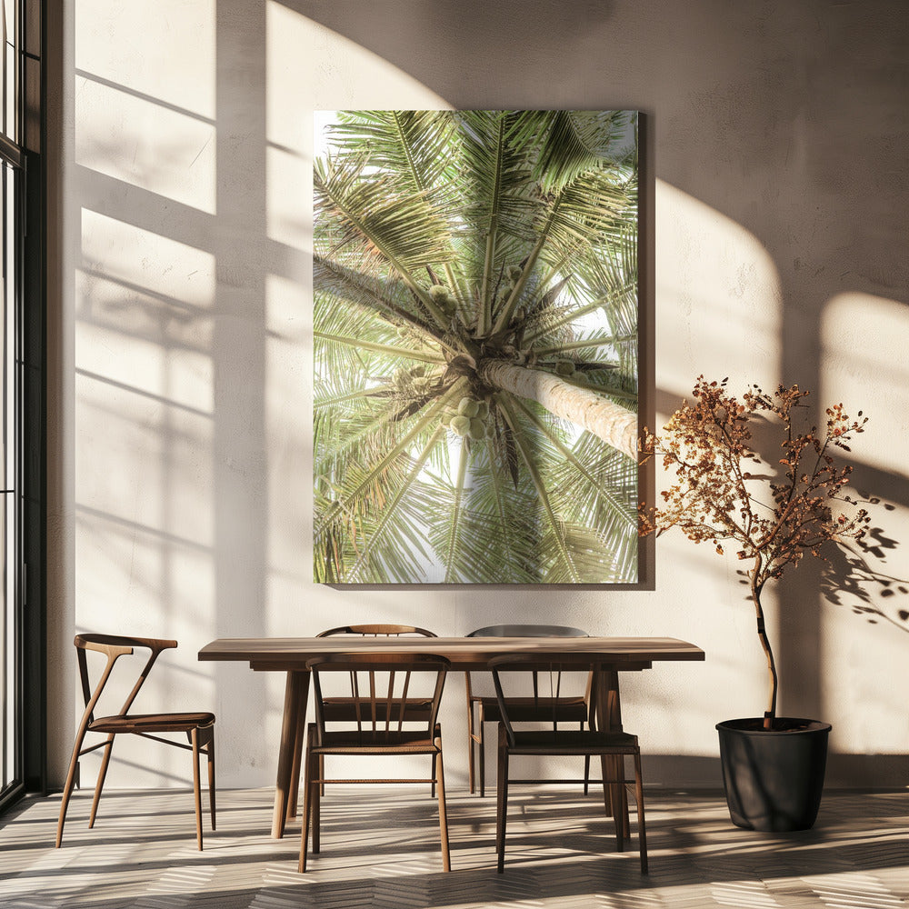Coconut Canopy | Canvas