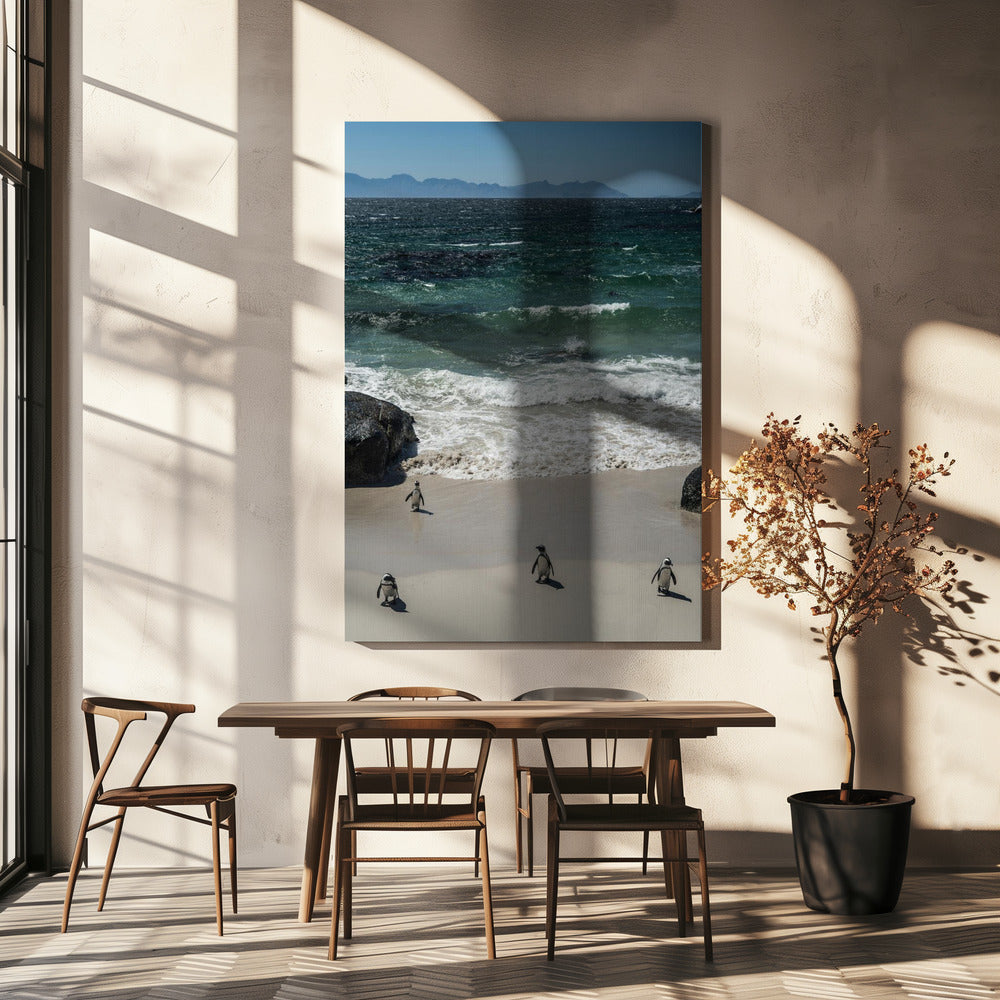 Penguin Beach Stroll | Canvas